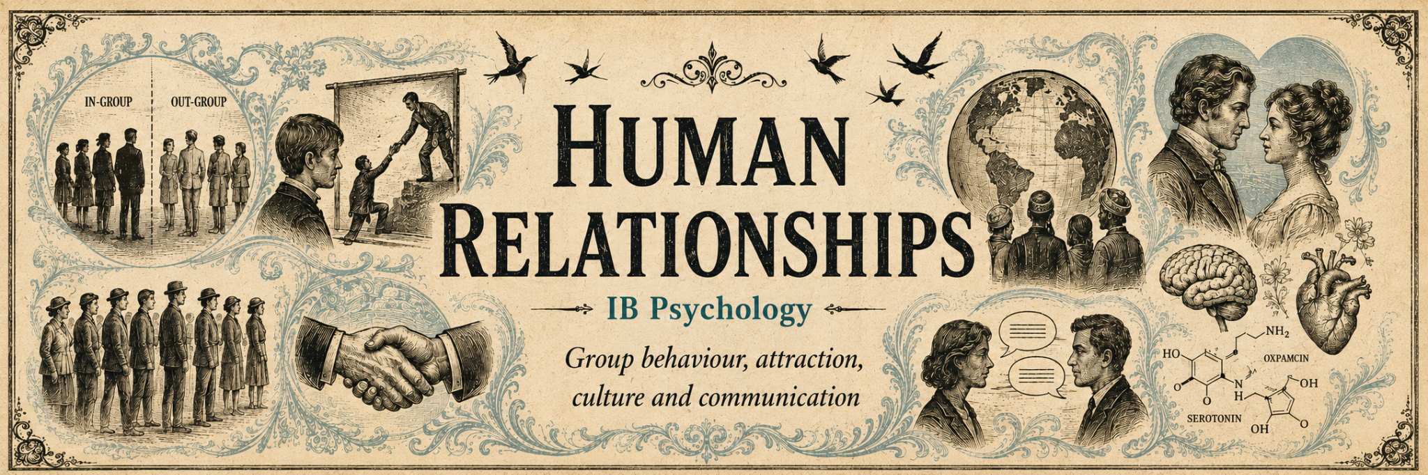 Human Relationships, IB Psychology