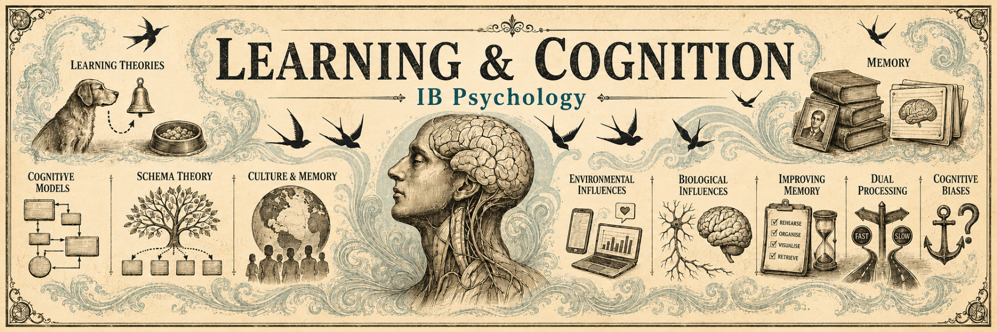 Learning and Cognition, IB Psychology